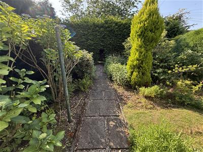 Picture 29